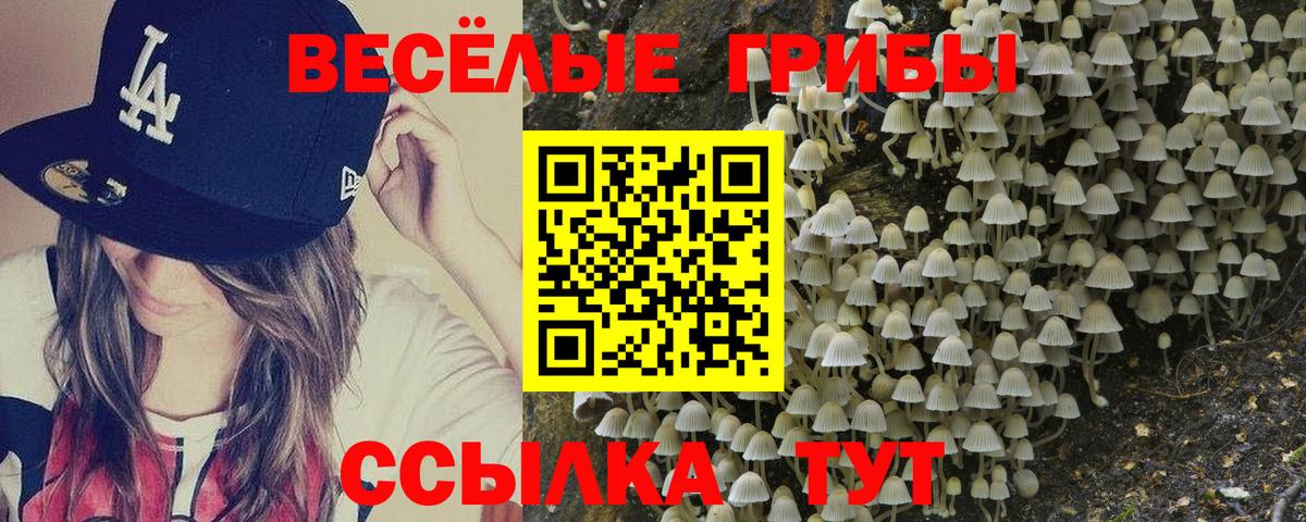 наркошоп  Вход с VPN  Галлюциногенные грибы прущие грибы  Старая Купавна  Галлюциногенные грибы прущие грибы 